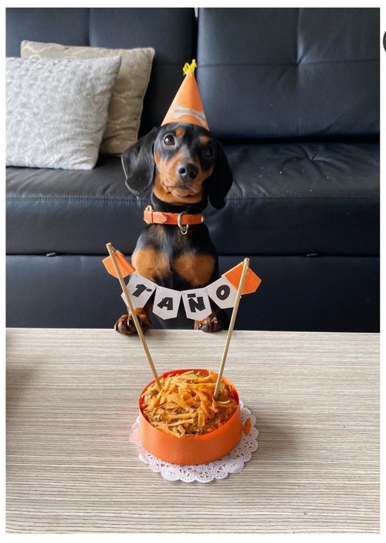 Torta para perros bogotá