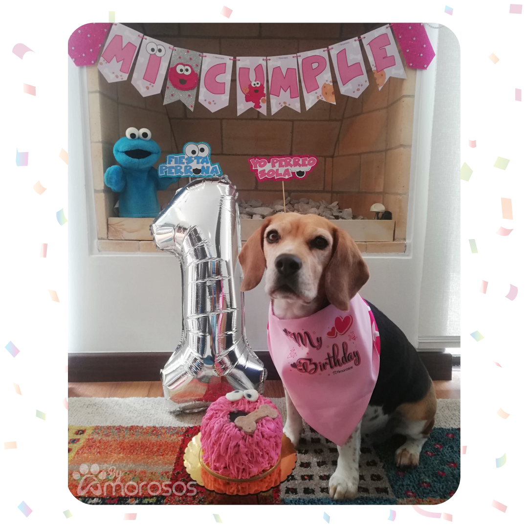 Cumpleaños para perros